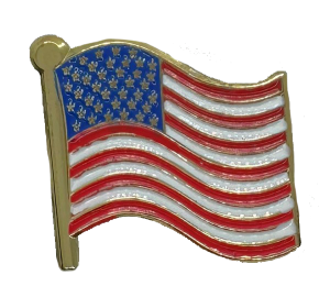 USA Flag pin pic